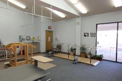 Physical Therapy (1)